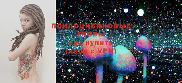 первитин Заводоуковск