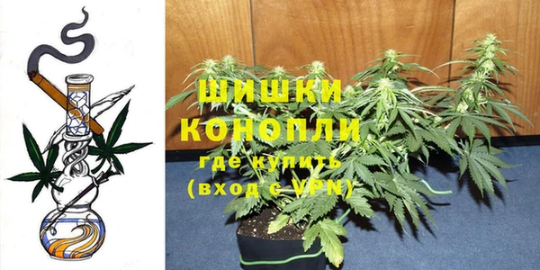 соль ск Ельня