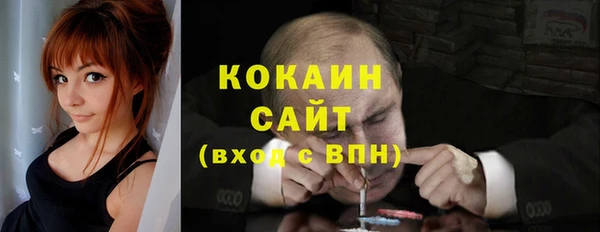 соль ск Ельня