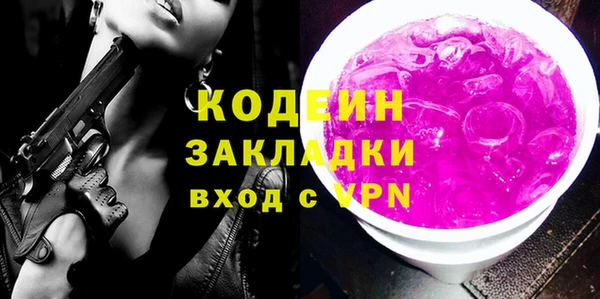 соль ск Ельня