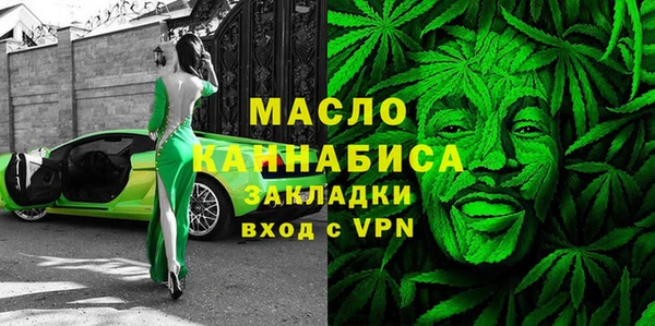 соль ск Ельня