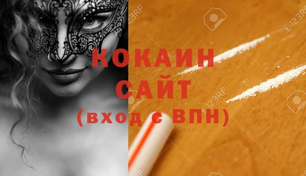 соль ск Ельня